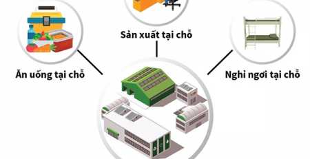Mô hinh 3 tại chỗ