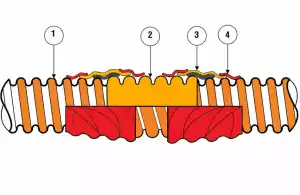 Ống nhựa xoắn hdpe măng sông